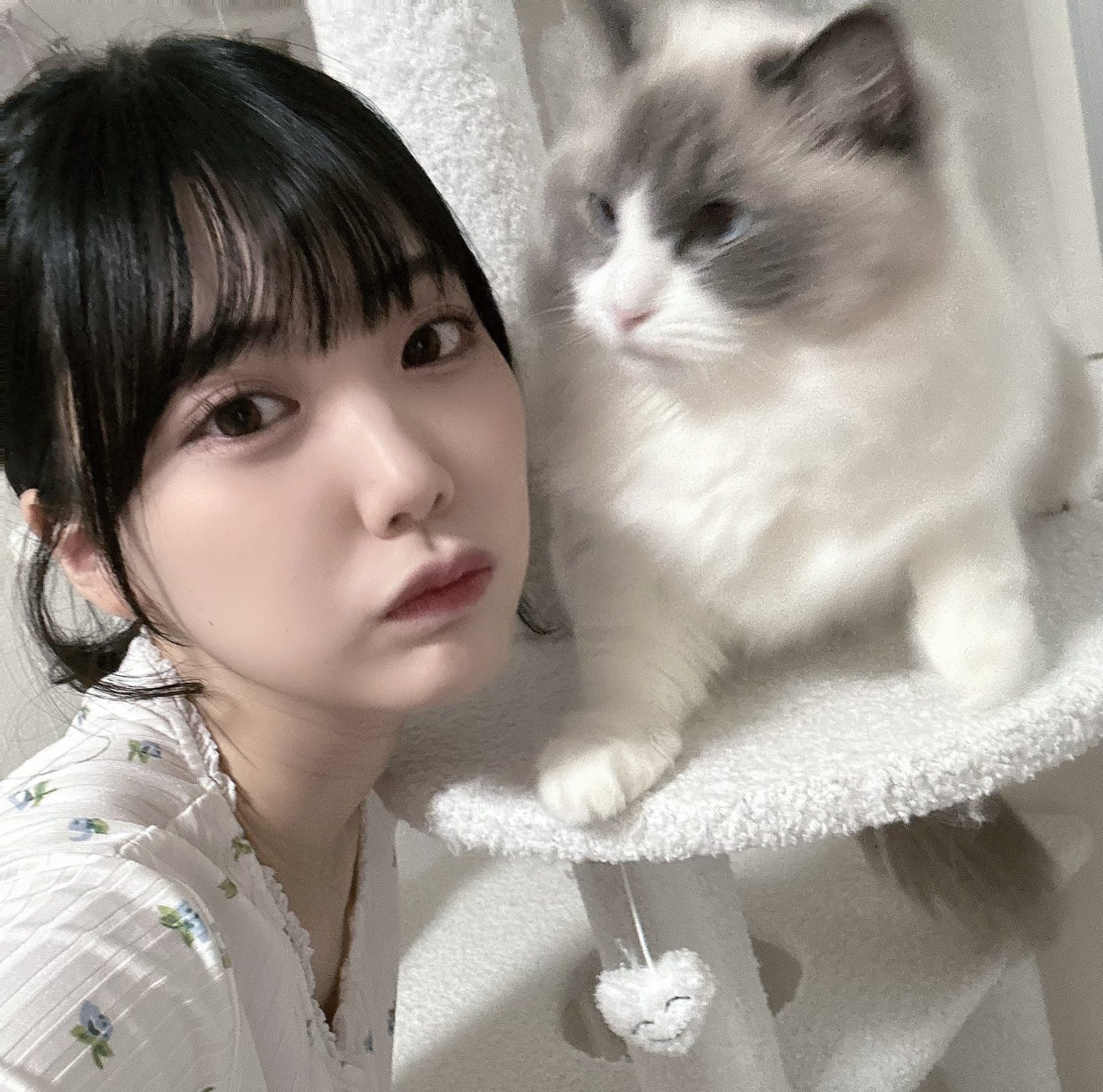 澪妹